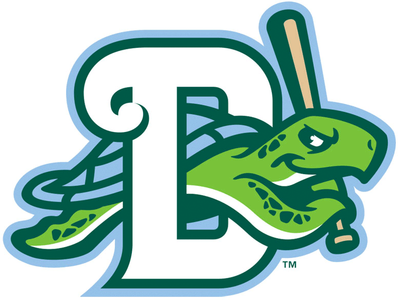 Daytona Tortugas 2015-Pres Alternate Logo iron on paper